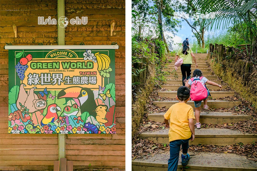 新竹北埔景點〡綠世界生態農場〡探索七彩繽紛的鳥類世界, 陪小朋友看羊駝逛大街, 觀察速度最慢的樹懶