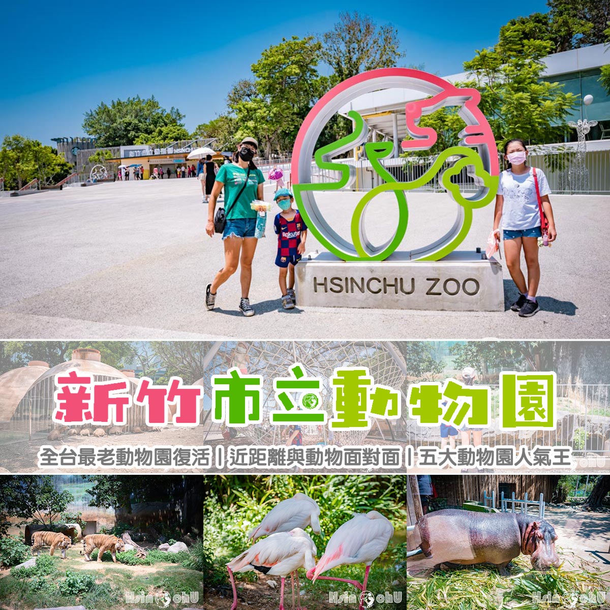 新竹東區景點〡新竹市立動物園〡全台最老動物園復活,近距離與動物面對面,五大動物園人氣王 @小菲親子玩樂生活