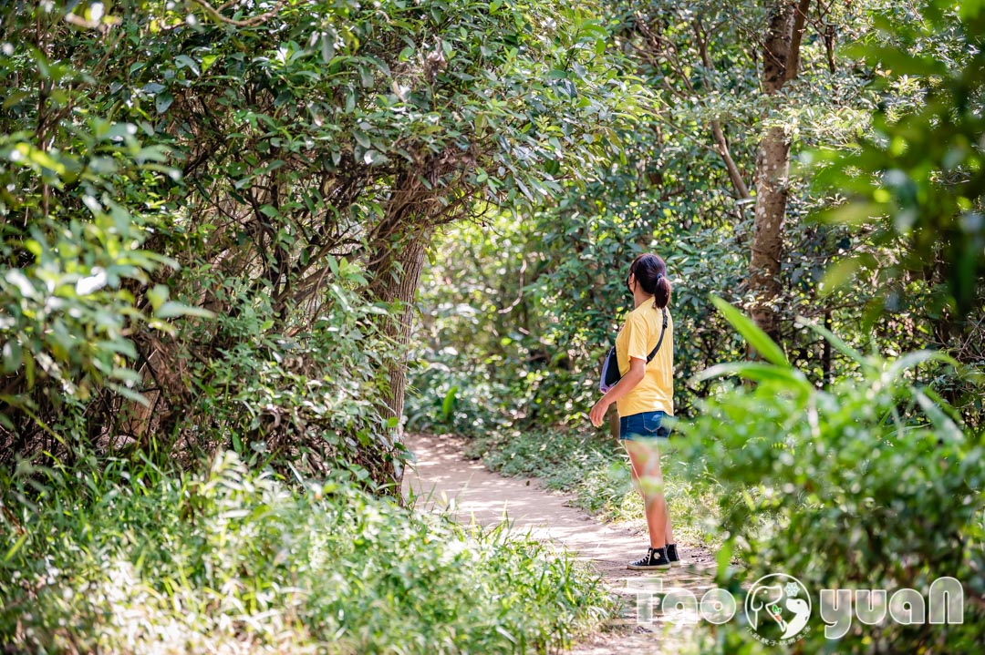桃園蘆竹景點〡羊稠森林步道〡絕佳視野三秒看高鐵, 森林系少女秘境步道, 夏季甲蟲出沒產地, 步行1000公尺看高鐵