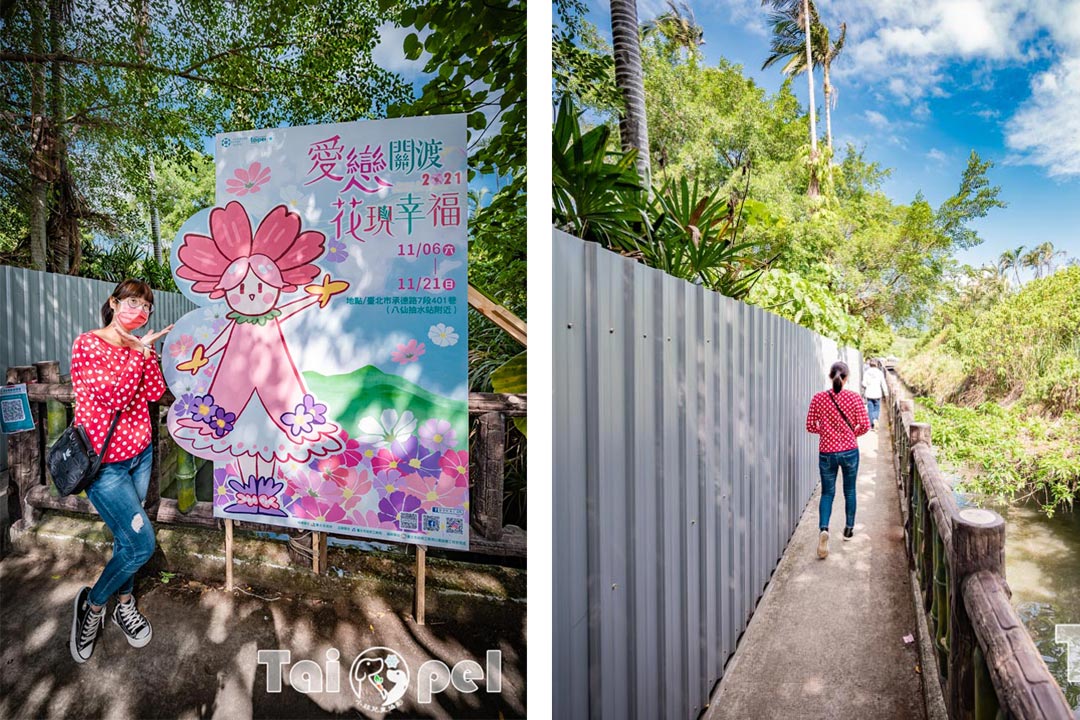 guandu-flower_005