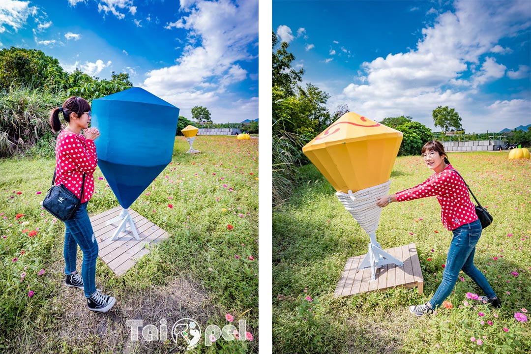 guandu-flower_007