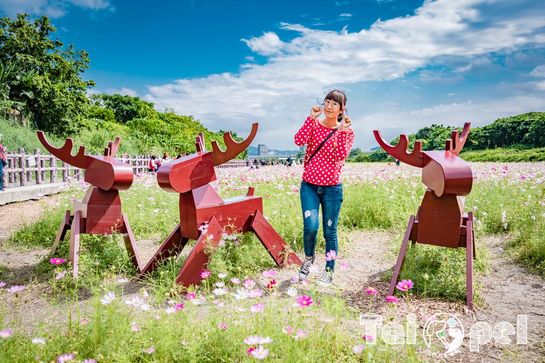 guandu-flower_015
