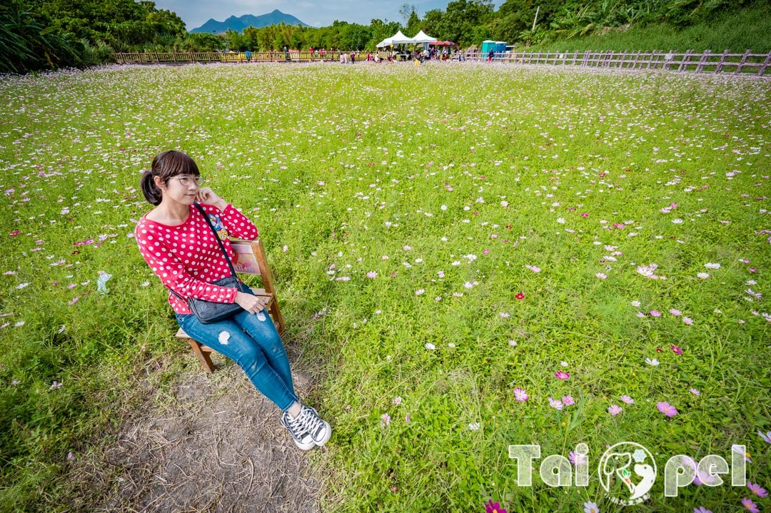 guandu-flower_020