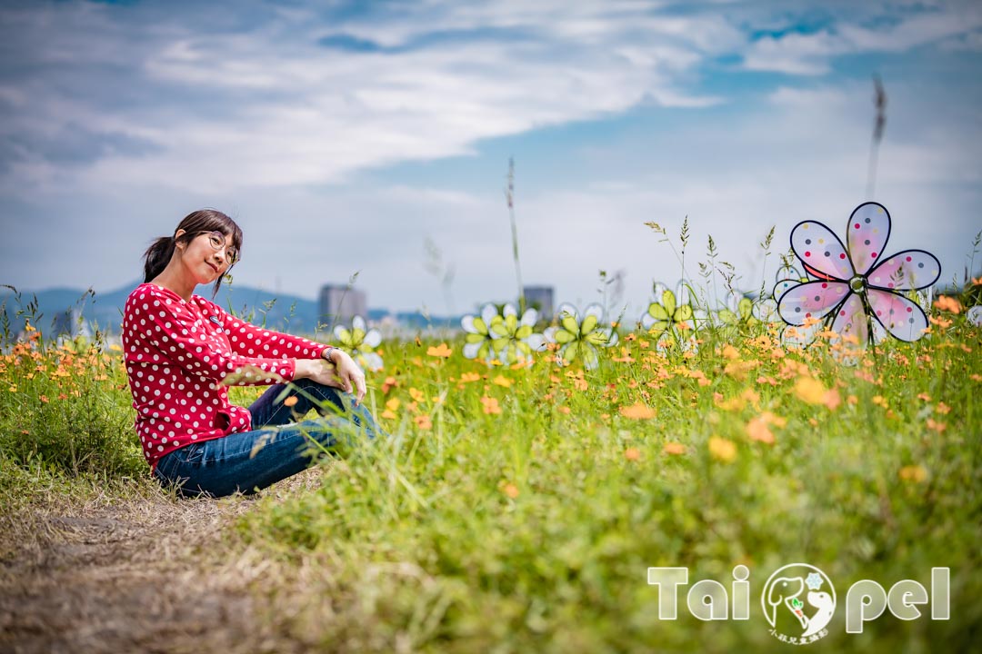 guandu-flower_027