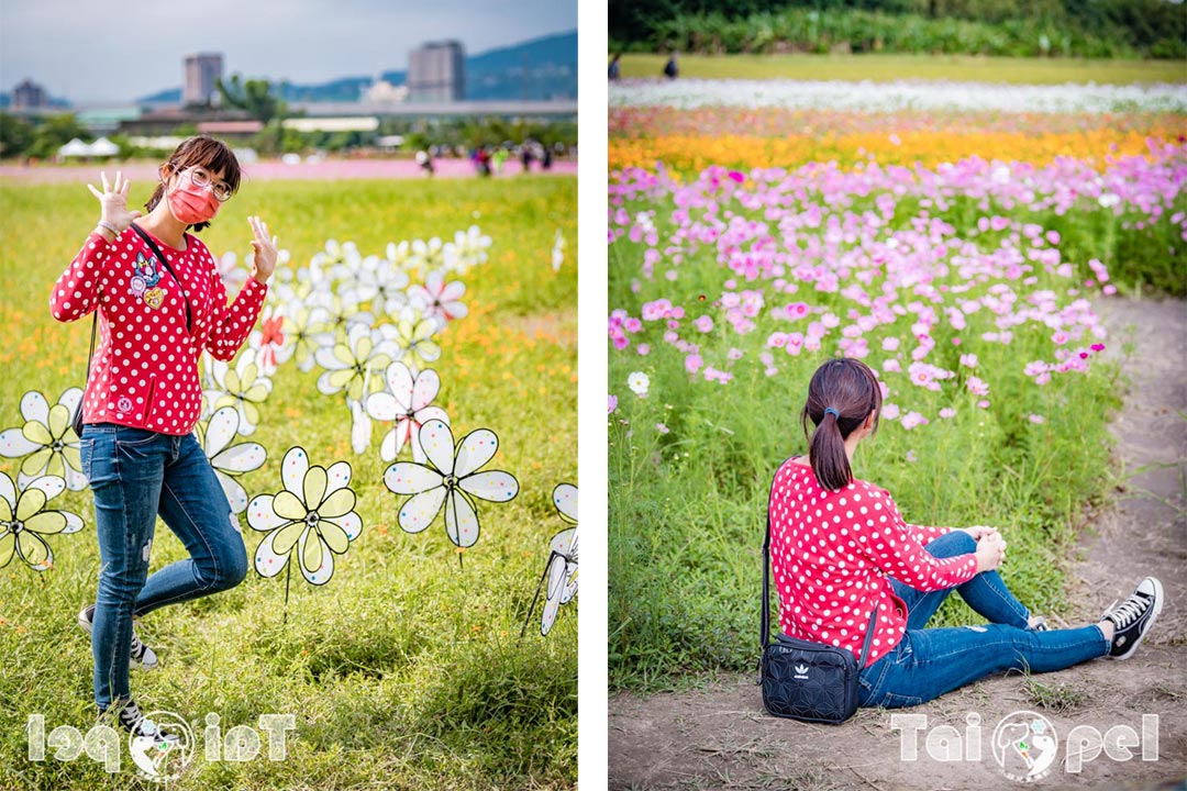 guandu-flower_028