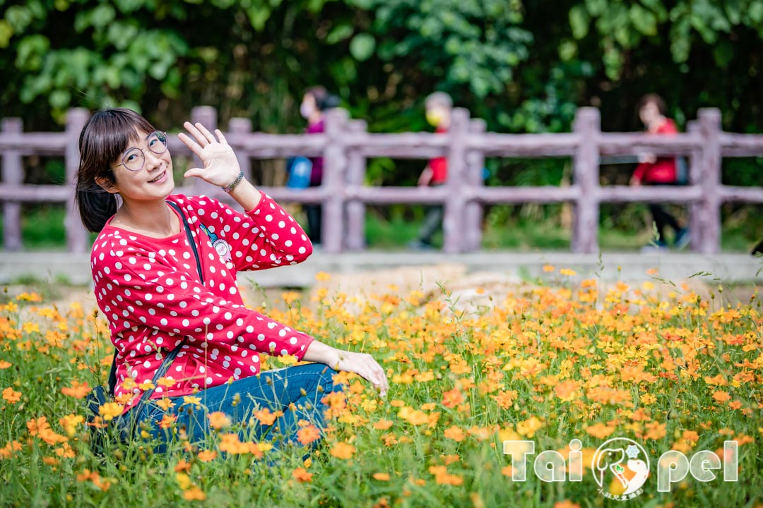 guandu-flower_029