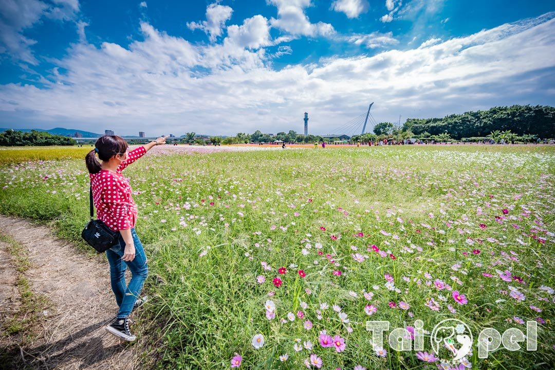 guandu-flower_036