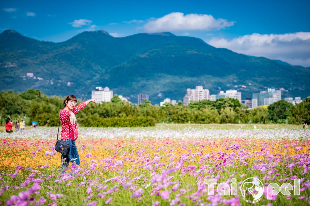 guandu-flower_040