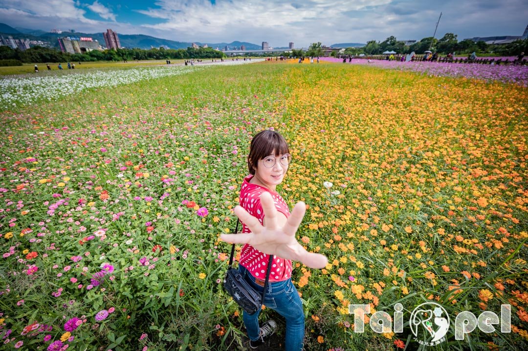 guandu-flower_042