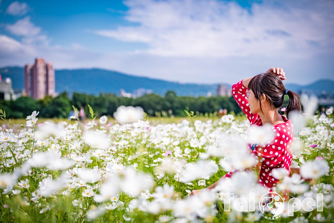 guandu-flower_044-1