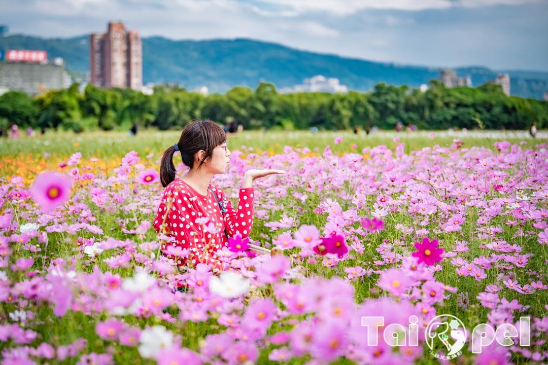 guandu-flower_047