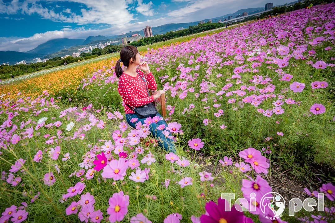 guandu-flower_048-1