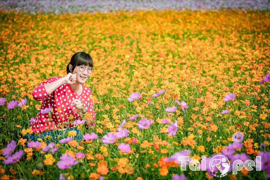 guandu-flower_050
