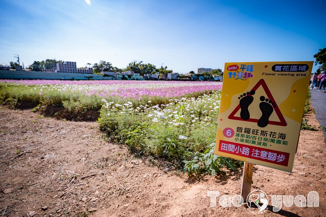 outdoor-flower_002