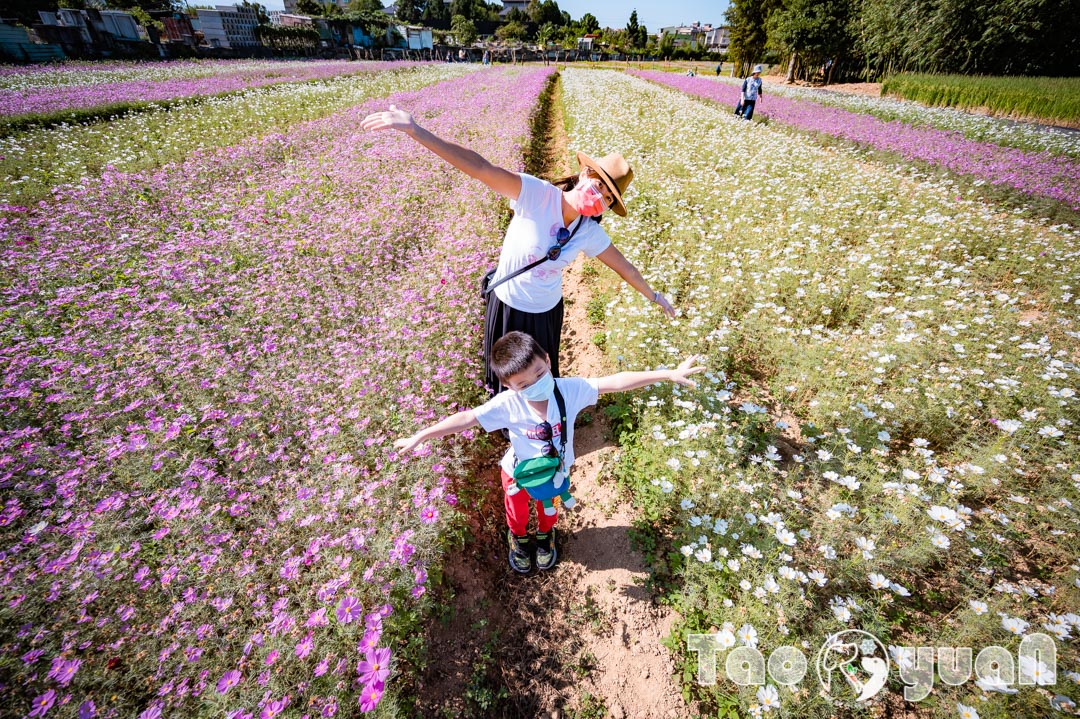 outdoor-flower_004