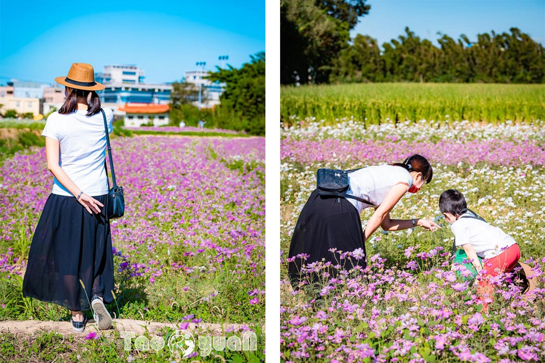 outdoor-flower_006-1