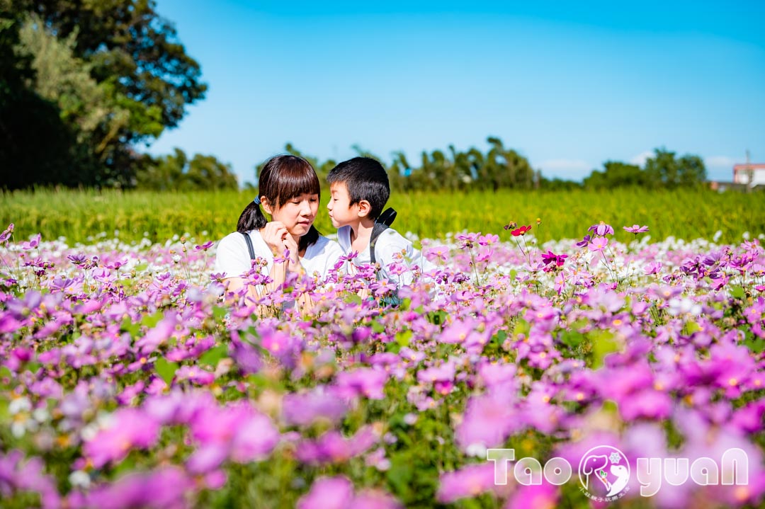 outdoor-flower_006