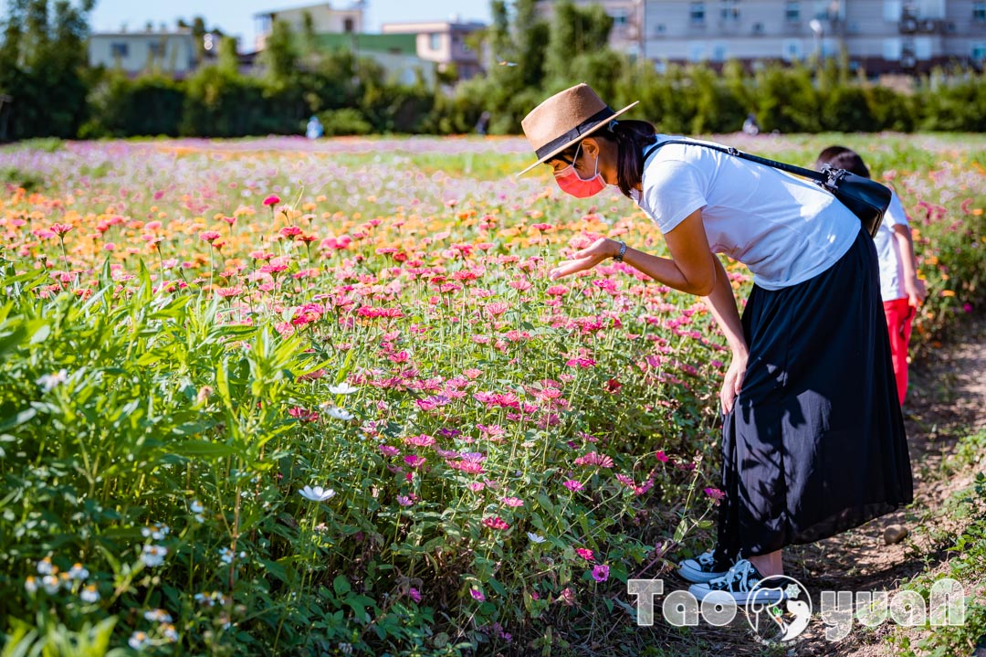outdoor-flower_009