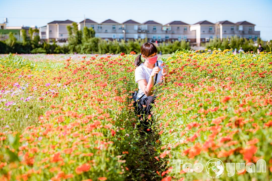 outdoor-flower_011