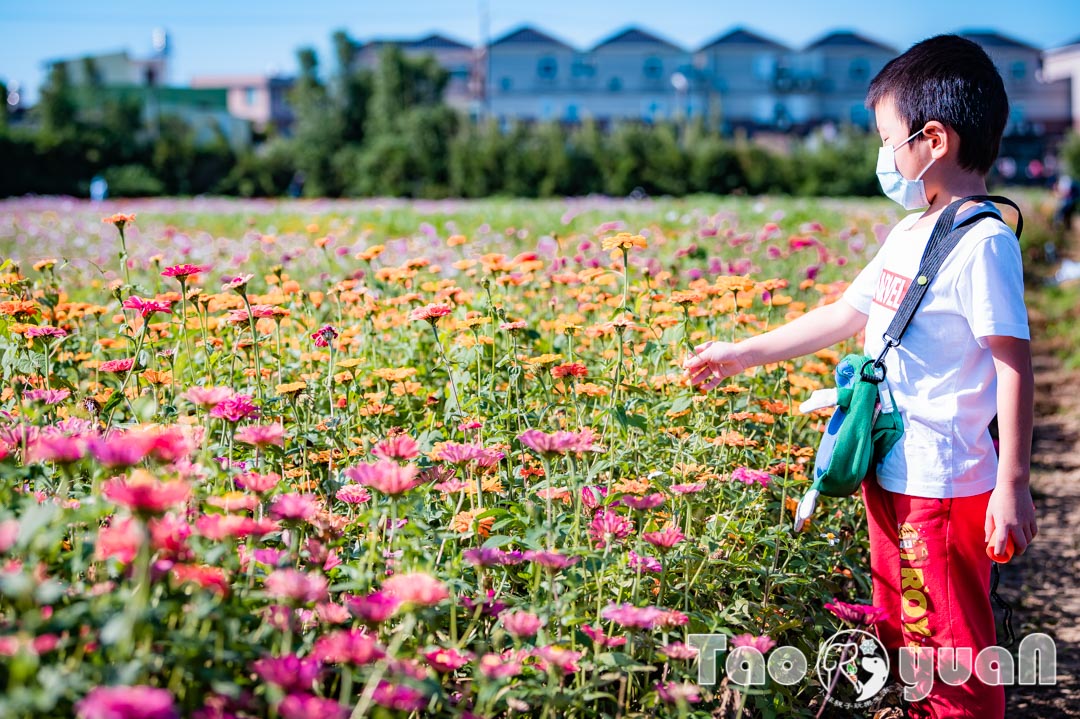 outdoor-flower_012-1