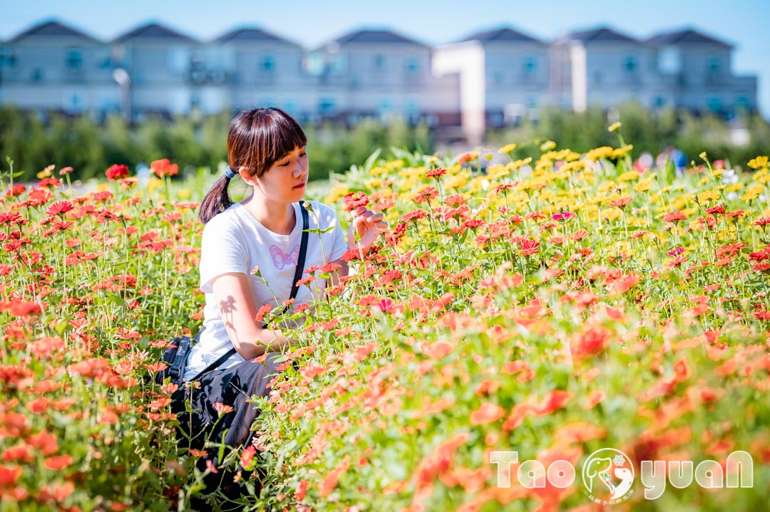 outdoor-flower_012