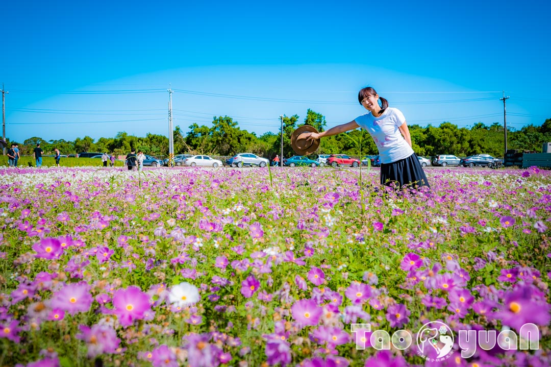 outdoor-flower_014