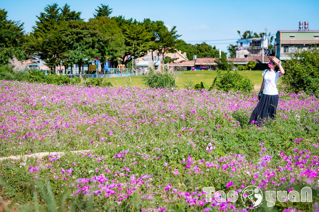 outdoor-flower_015