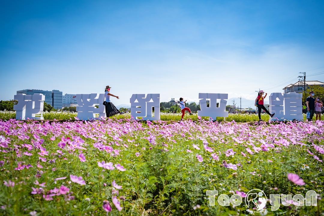 outdoor-flower_018-7