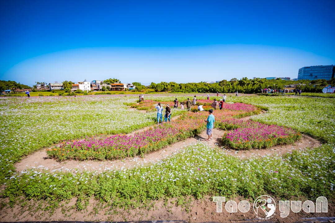 outdoor-flower_019