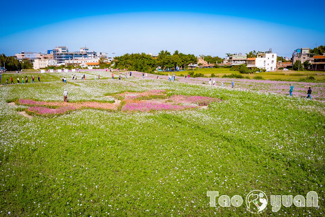 outdoor-flower_021