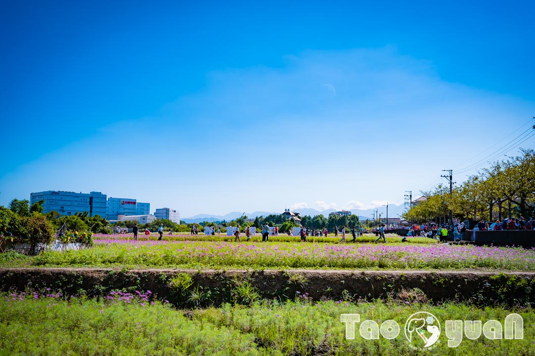 outdoor-flower_040