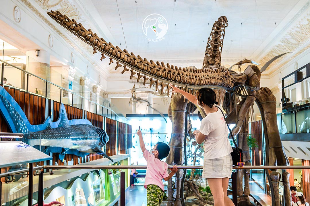 台北中正景點〡臺灣博物館古生物館〡重回巨型恐龍的遠古時代。恐龍蛋巧克力蛋糕。超真實立體動物標本