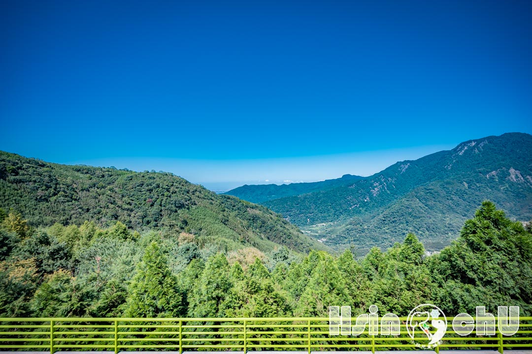 新竹尖石景點〡數碼天空景觀餐廳〡鬆獅犬陪你喝咖啡, 海拔1200公尺絕佳視野, 超浪漫賞櫻秘景