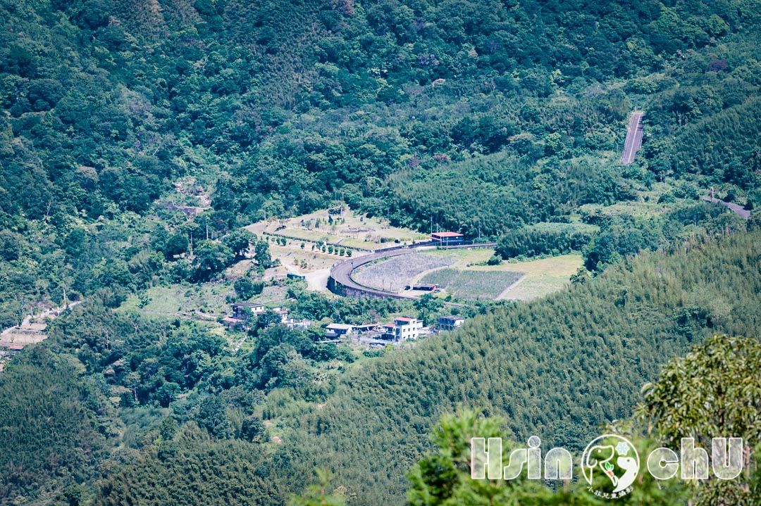 新竹尖石景點〡數碼天空景觀餐廳〡鬆獅犬陪你喝咖啡, 海拔1200公尺絕佳視野, 超浪漫賞櫻秘景