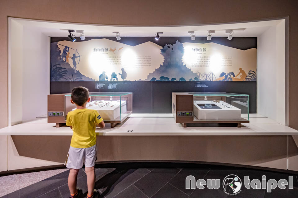 新北八里景點〡十三行博物館〡考古挖沙體驗, 超逼真考土學者, 3D彩繪海底隧道