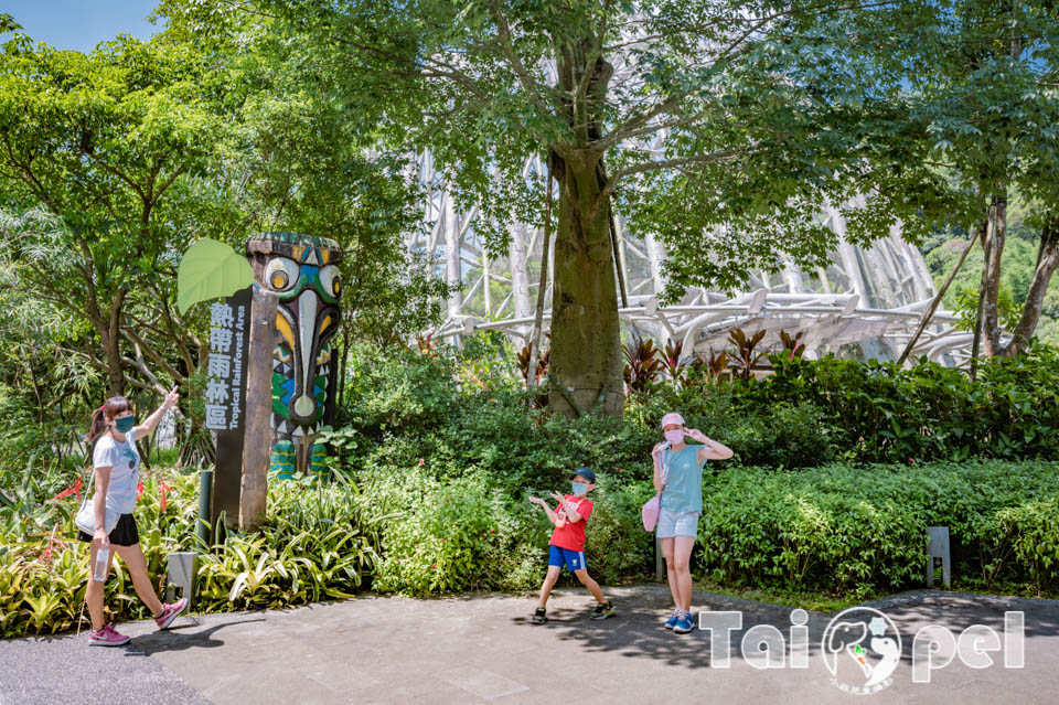 台北市區景點〡台北市立動物園〡木柵動物園, 展示很open的穿山甲館, 一鳴驚人的笑翠鳥, 人氣王貓熊企鵝