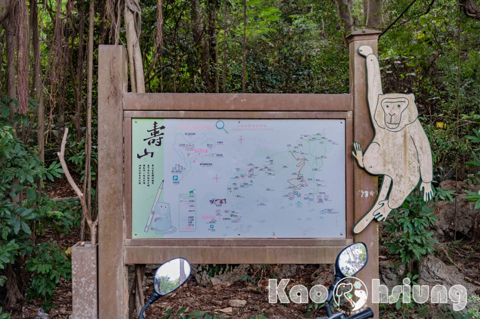 高雄鼓山景點〡壽山國家自然公園〡路上滿滿猴子的彌猴步道, 登山食物不露白安全有保障, 別再餵彌猴們吃餅乾了