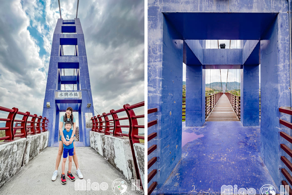台南楠西景點〡永興吊橋〡曾文溪上的紫色微笑, 超過四百公尺長吊橋, 兩百年茄苳老樹