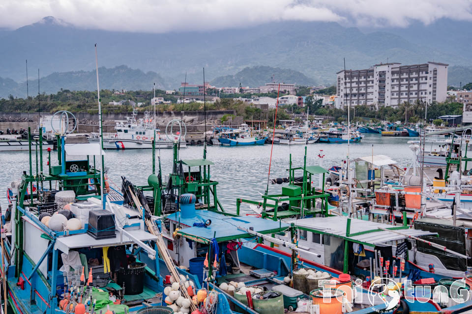 台東成功景點〡成功漁港〡東海岸最大的漁港, 現捕鮮魚拍賣會, 大船造型漁業大樓, 海味餐廳吃尚青料理