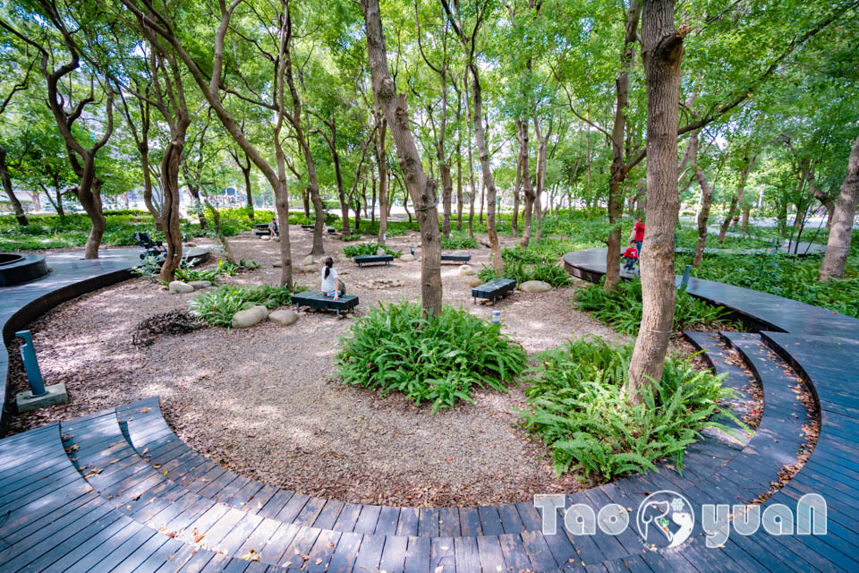 桃園市區景點〡風禾公園〡桃園最長滾輪溜滑梯, 兒童遊戲場安全鋪面大更新, 盡情奔跑大草皮, 遮陽沙坑開玩囉, 綠蔭休閒步道