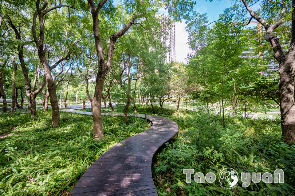 桃園市區景點〡風禾公園〡桃園最長滾輪溜滑梯, 兒童遊戲場安全鋪面大更新, 盡情奔跑大草皮, 遮陽沙坑開玩囉, 綠蔭休閒步道