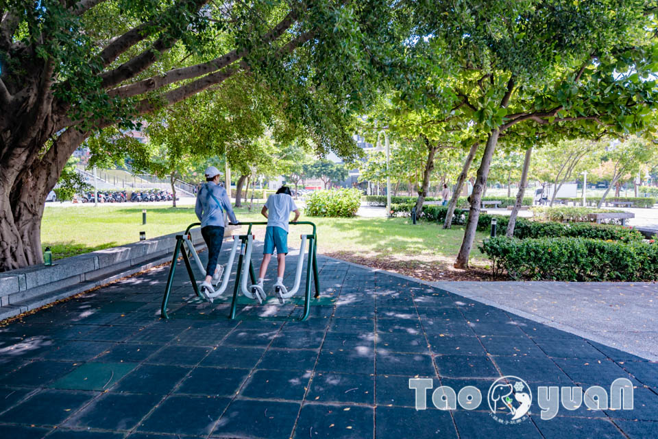 桃園市區景點〡風禾公園〡桃園最長滾輪溜滑梯, 兒童遊戲場安全鋪面大更新, 盡情奔跑大草皮, 遮陽沙坑開玩囉, 綠蔭休閒步道