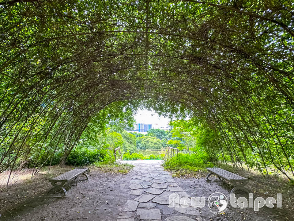 新北新莊景點〡塭仔底濕地公園〡免費玩水景點, 可愛的小水山噴泉, 彩虹噴霧隧道, 隱藏版網美打卡秘境, 2024最新戲水池開放時間