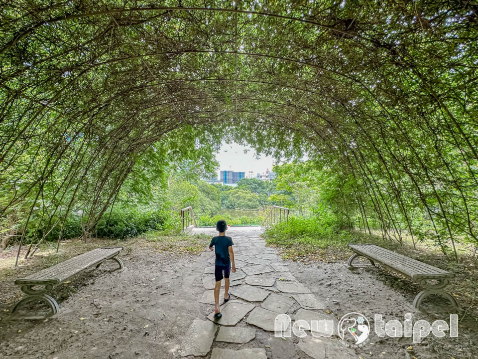 新北新莊景點〡塭仔底濕地公園〡免費玩水景點, 可愛的小水山噴泉, 彩虹噴霧隧道, 隱藏版網美打卡秘境, 2024最新戲水池開放時間