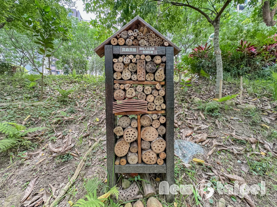 新北新莊景點〡塭仔底濕地公園〡免費玩水景點, 可愛的小水山噴泉, 彩虹噴霧隧道, 隱藏版網美打卡秘境, 2024最新戲水池開放時間