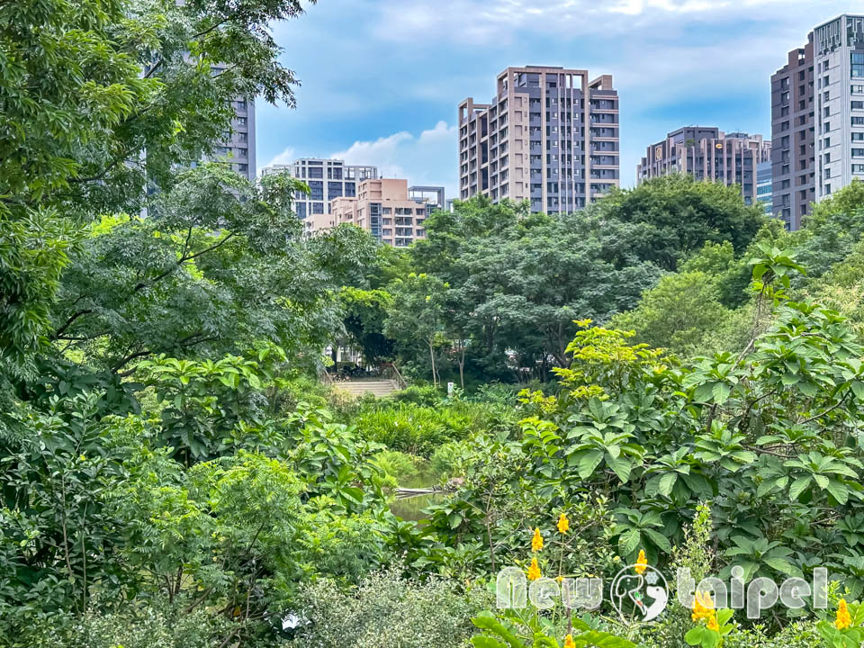 新北新莊景點〡塭仔底濕地公園〡免費玩水景點, 可愛的小水山噴泉, 彩虹噴霧隧道, 隱藏版網美打卡秘境, 2024最新戲水池開放時間