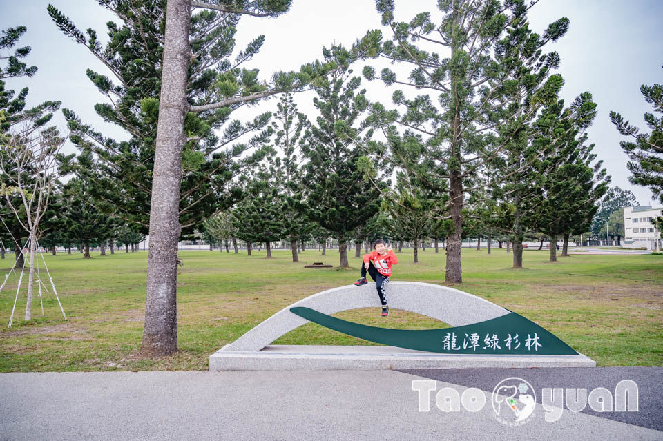 桃園龍潭景點｜龍潭綠杉林公園, 闖六關登王者之塔, 穿梭杉林間挑戰自我極限, 大朋友的體能訓練場, 仿露營車特色洗手間