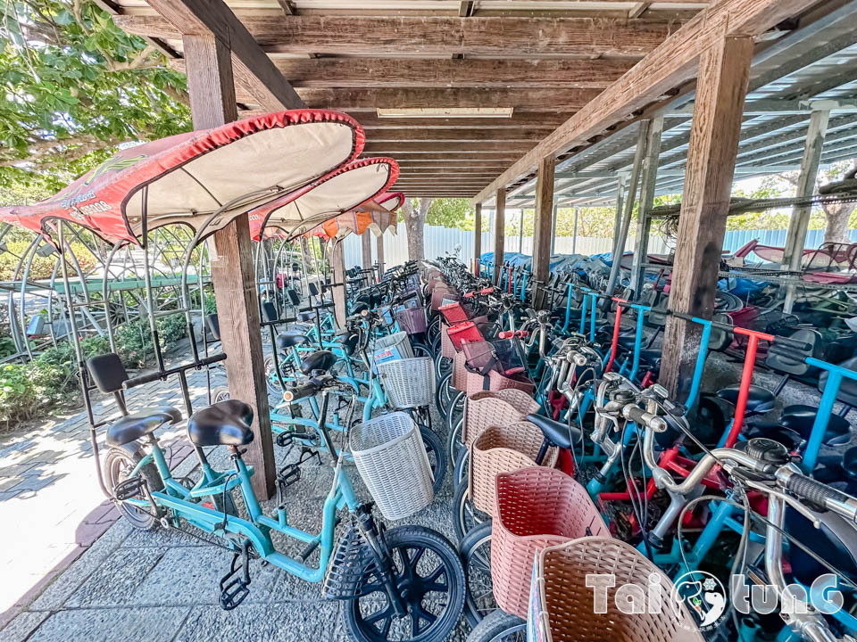 台東市區景點 I 台東森林公園, 黑森林裡的琵琶湖, 歐風打卡觀景平台, 濱海森林系自行車道