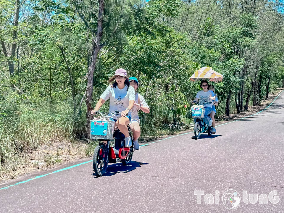 台東市區景點 I 台東森林公園, 黑森林裡的琵琶湖, 歐風打卡觀景平台, 濱海森林系自行車道