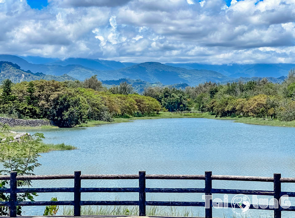 台東市區景點 I 台東森林公園, 黑森林裡的琵琶湖, 歐風打卡觀景平台, 濱海森林系自行車道